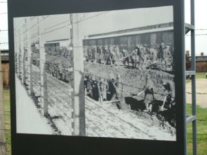 picture of "prisoners" digging ditches