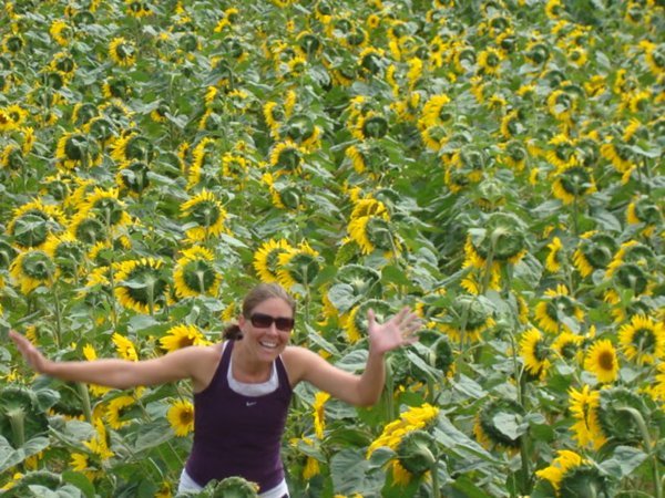 Katie, our sunflower