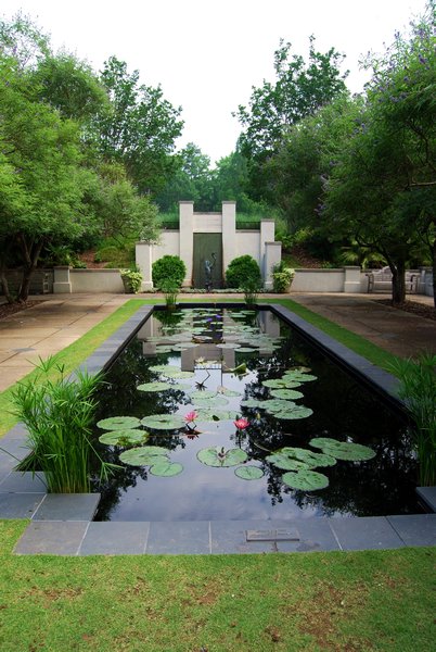 Lily Pond at Botanical Gardens
