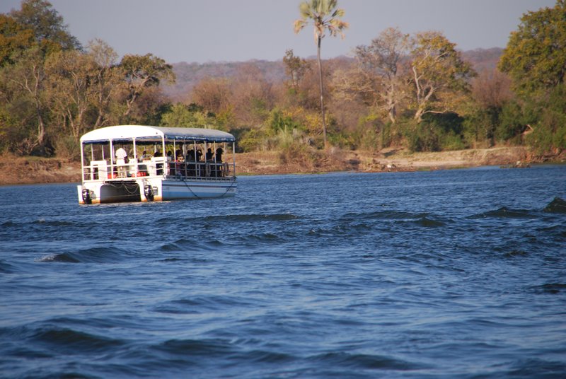 We aren't the only ones on the Zambezi River