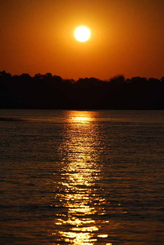 Goodnight Zambezi River 