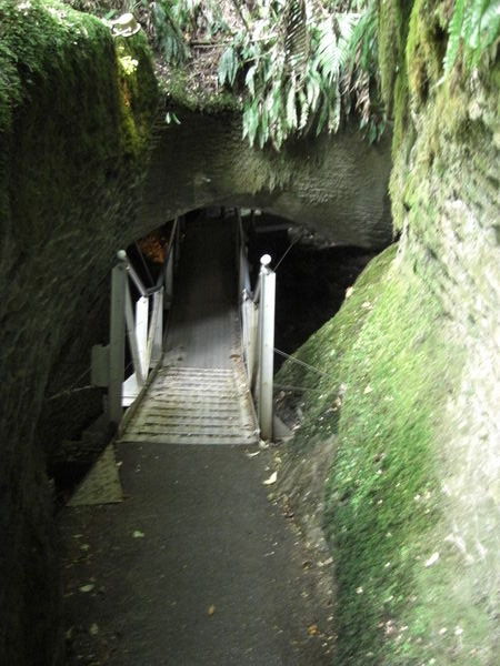 Gloworm Caves