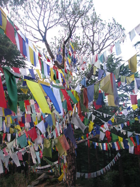 A lot of prayer flags