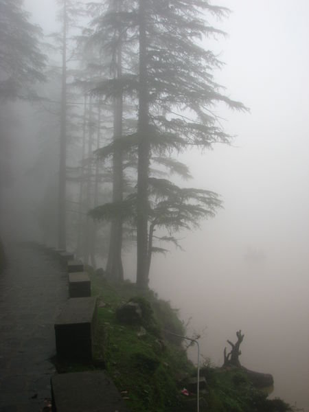 In the clouds at Daal Lake
