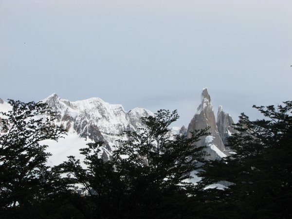 Cerro Torre Range over the trees