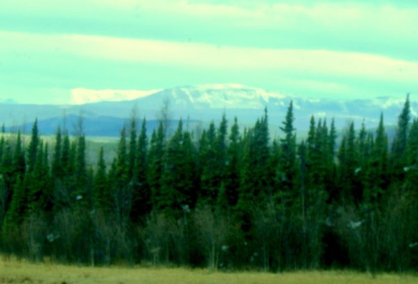 Klondike Highway View