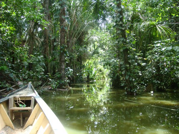 Boating into the swamp
