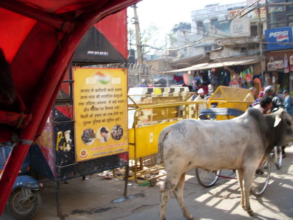 Street scene by Rickshaw