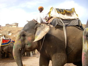 Elephant and his Mahout