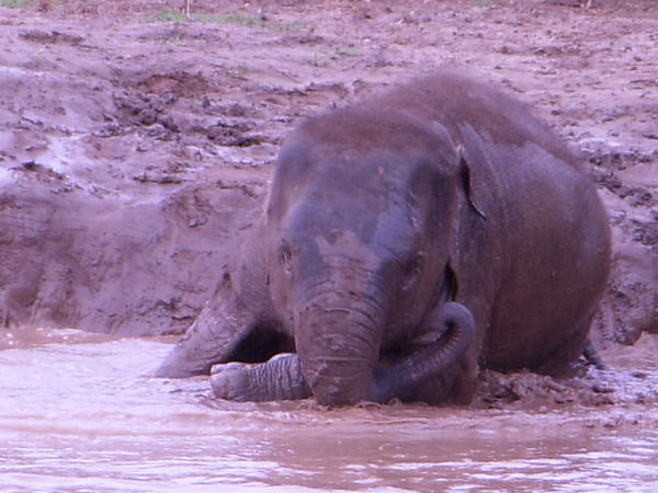 Baby in the mud