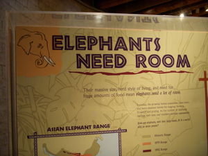 Elephants Need Room