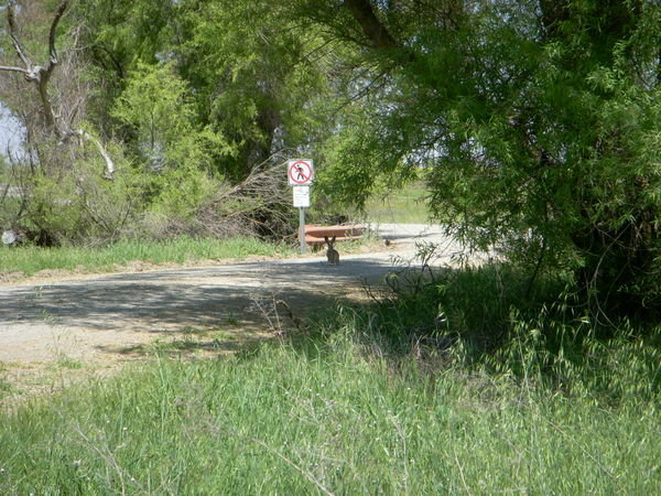 One of the walking trails