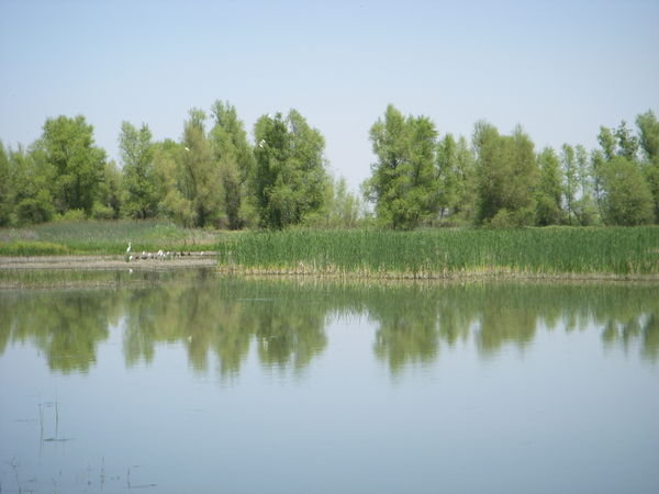 One of the lake views