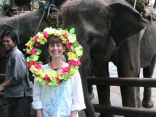 Elephant giving me flower wreath