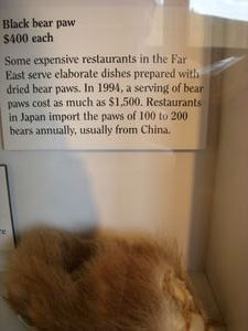 Bear Paws are bringing high value