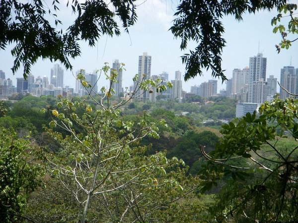 Pamana City thru a view of the metropol city park