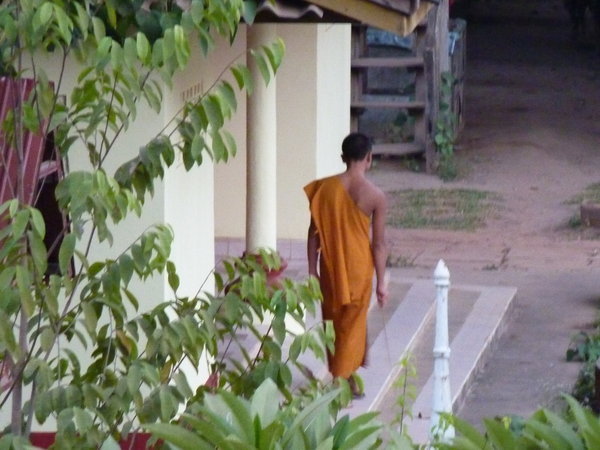 Monk near our place