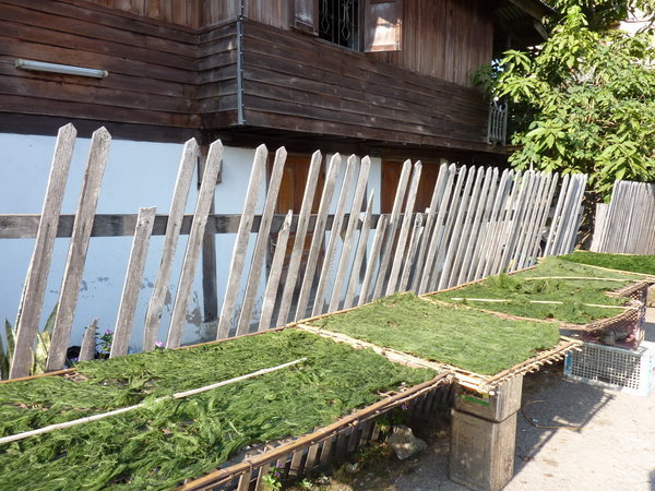 Drying Mekong Seaweed