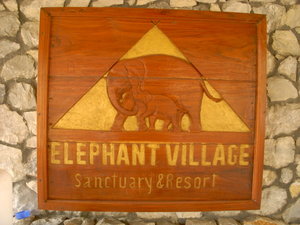 A visit to the Elephant Village