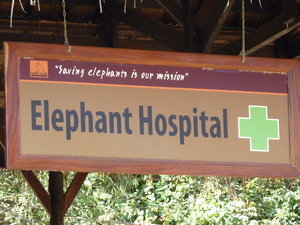 The Elephant Village has an inspiring message...