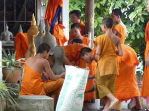 A swarm of monks bringing Buddha to life