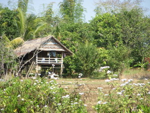 Past traditional rural Lao homes