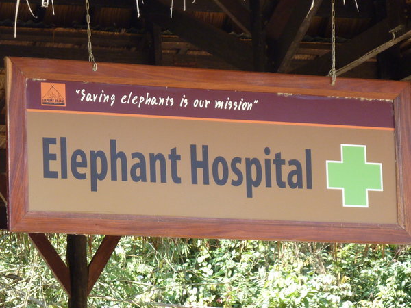 Elephant Care... 