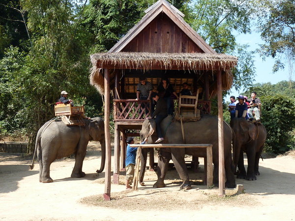 Elephant Riding Platform, which is a separate program offered to tourists. 