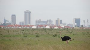 Strauss und Nairobi Skyline