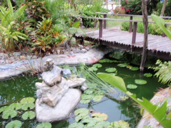 The Pond in the Memorial Park