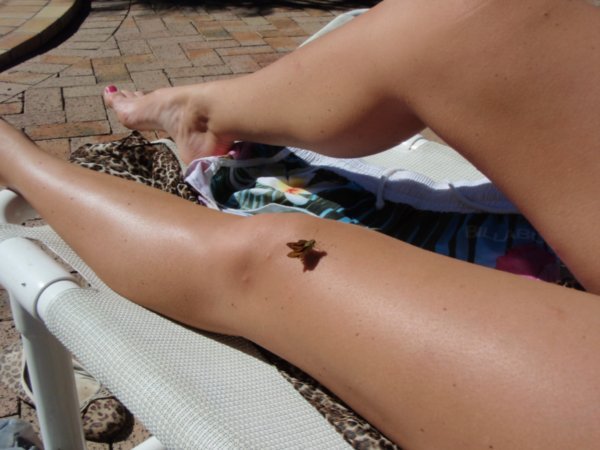 The butterfly on Romana's leg