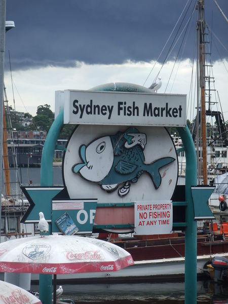 Wharf at the Sydney Fish Market