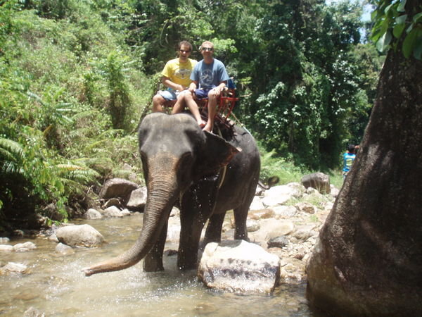 riding an elephant in Thailand!