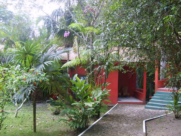 Jungle Lodge, my room