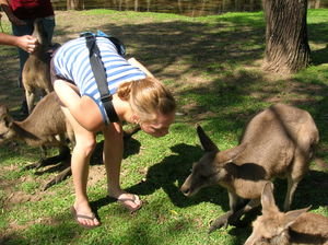 kissing the kangaroo