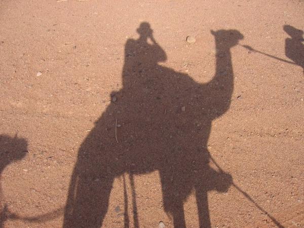 Me on the back of a camel, sort of