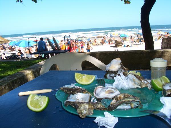 Casual oyster bar on the beach (yum)