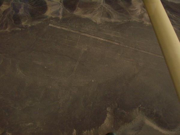Nazca lines -air shot of the Humminbird on its plateau