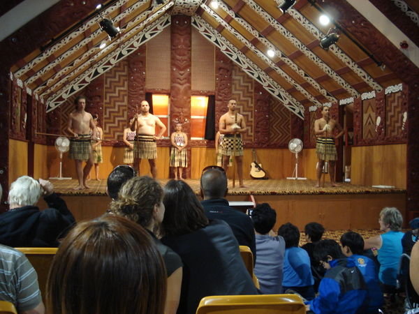 Dia 7 - Vida Maori