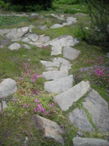 Rock path