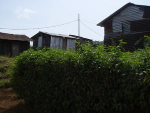 Homes in Moka