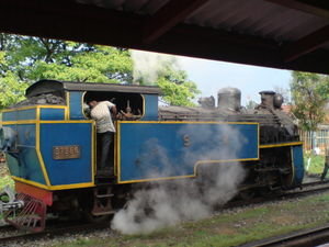 Our train - Thomas!