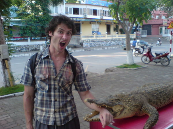 Attacked by a croc.!!