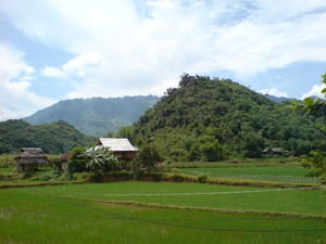 Part of our village