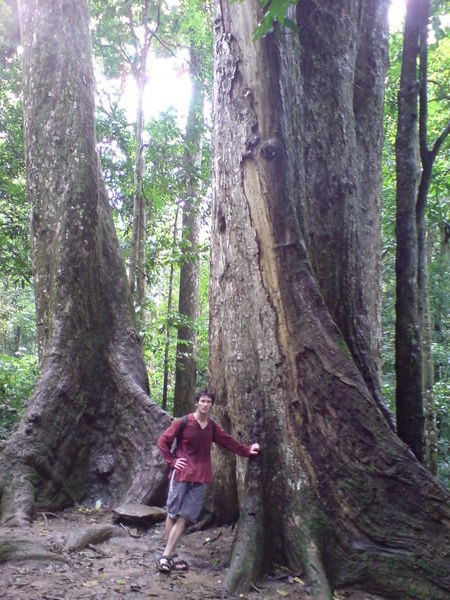 Dan and the 1000 year old tree!
