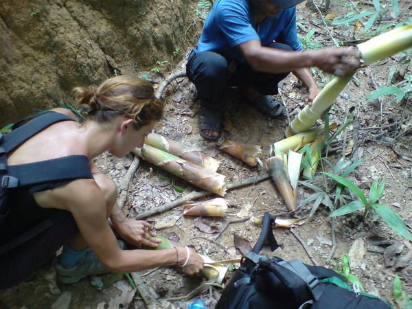 Preparing our fresh bamboo shoots