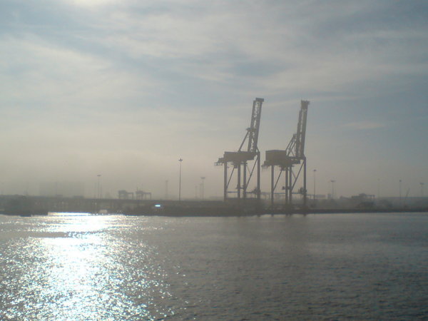 Misty morning at the docks