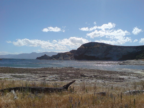 Kaikoura coast