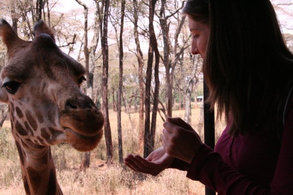 Me feeding the Giraffe at Giraffe Park in Nairobi