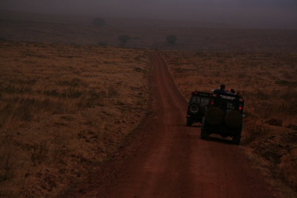 The other jeeps in front of us in the Ngorongoro Crater
